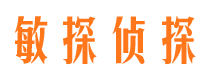 宁安调查事务所